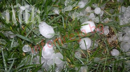 градушка грахово зърно връхлетя сатовча