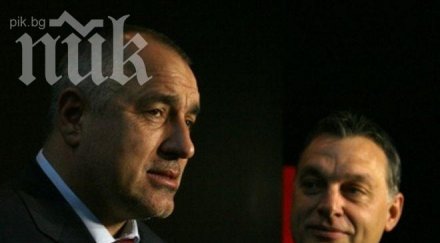 бойко поздрави орбан успеха изборите