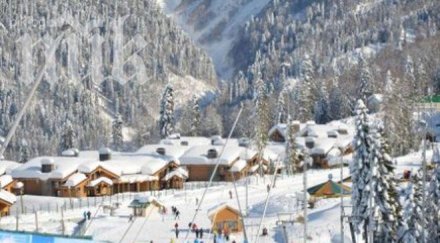 олимпиадите сочи печалба 140 млн долара