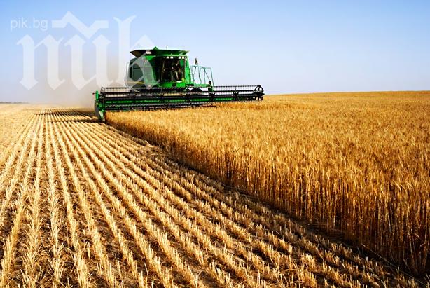 Българското земеделие в коловоза на имитациите