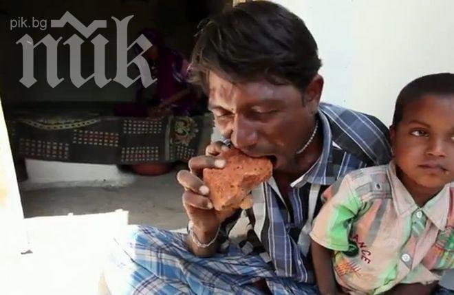 Ужас! Гладен човек се тъпче с тухли (видео)