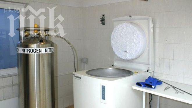 Учени разработват метод за растеж на стволови клетки в организма на пациентите