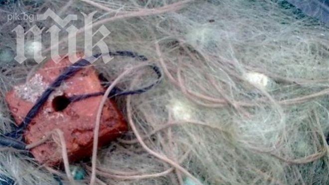 Отново извадиха бракониерски мрежи от Жребчево
