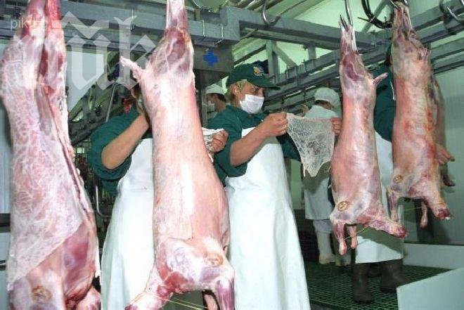 Цените на агнешкото скачат - ще са над 12 лева за килограм