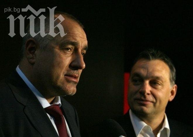 Бойко поздрави Орбан за успеха му на изборите