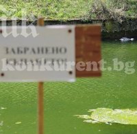 Труп изплува в езеро край Враца (снимки)