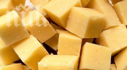 кашкавал произведен затворена севлиевска фирма намерен пазара софия