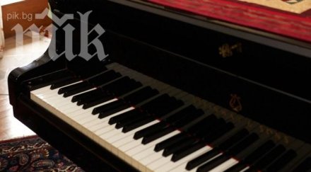 роял 1915 краси резиденцията турския посланик софия