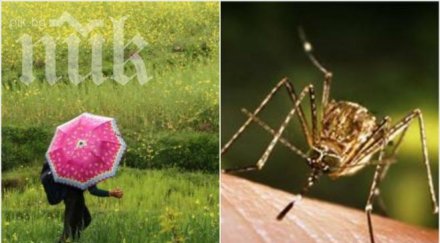 синоптик шокираща прогноза цялата пролет дъждовна нов вид комари застрашават здравето