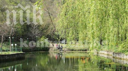 удавникът врачанско бил дядо подозират самоубийство