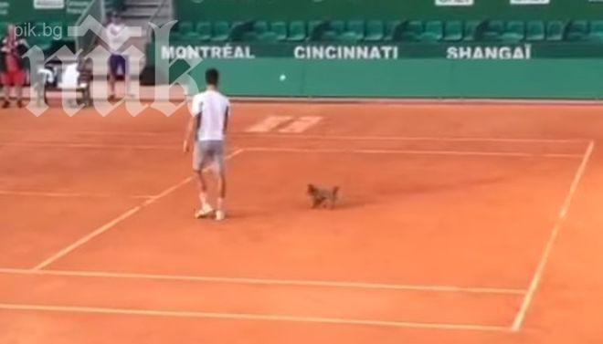 Джокович тренира в Монако с един от домашните си любимци (видео)