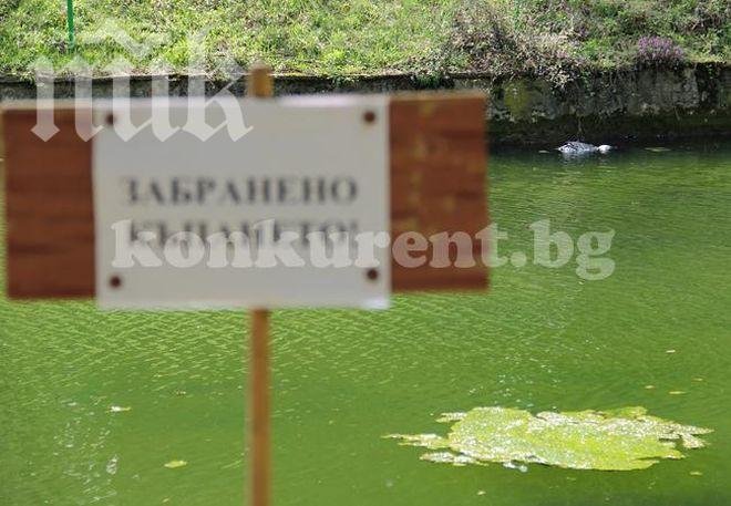 Труп изплува в езеро край Враца (снимки)
