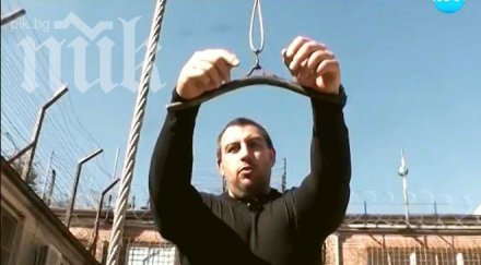 пешо сумиста свещените крави няколко дела разхождат парламента