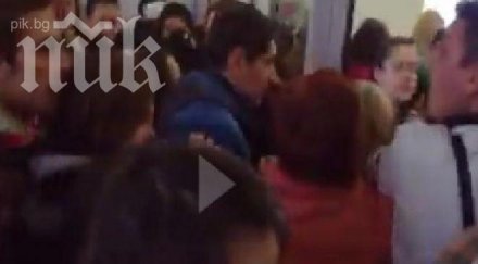 българска работа вижте клиенти превзеха стадо бизони новия мол плевен видео