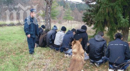 имигранти заловени границата турция последните три дни