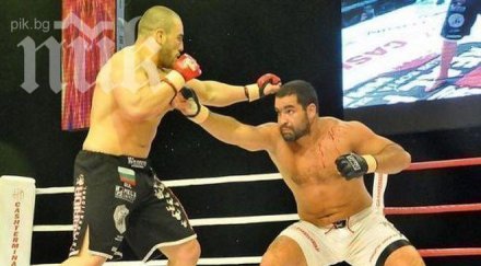 багата смаза американец калифорния