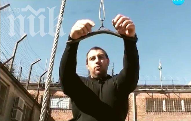 Пешо Сумиста: Свещените крави са с няколко дела и се разхождат в парламента