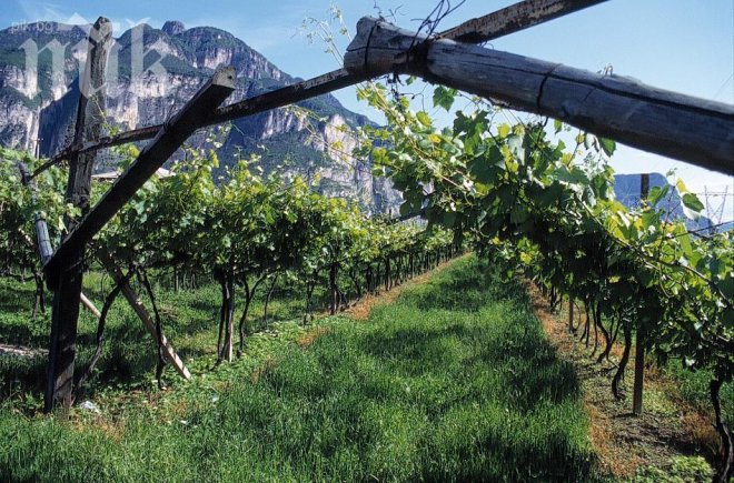 Уникум! Швейцария предупреждава жителите си: В България има данък върху пустеещите земи