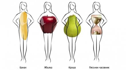 изумително формата тялото определя живеем