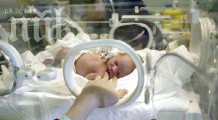 младите родители острова годишна ученичка роди годишния приятел