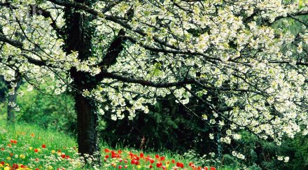 очаква хладна дъждовна пролет