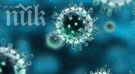 внимание учени загубиха смъртоносен вирус светът опасност
