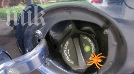 изтеглят 000 коли заради паяци пристрастени бензина