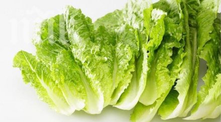 марули пълни буболечки заливат пазара