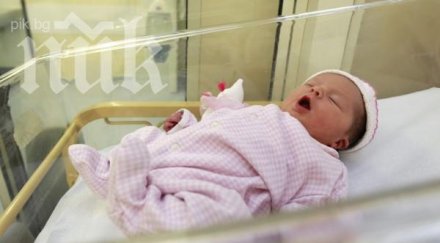 наденица марулка петилетка търпелин сред странните имена българия