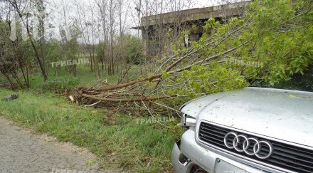 адска катастрофа врачанско снимки