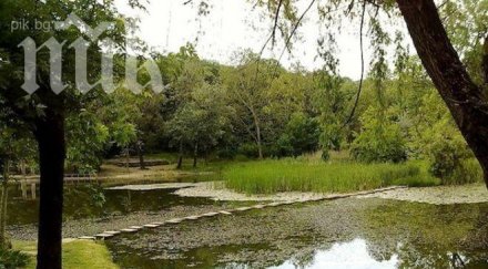 резиденция тодор живков отива търг