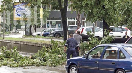 буря връхлита страната стихията изтръгва антени събаря клони