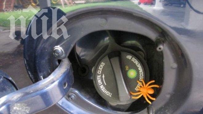 Изтеглят 42 000 коли заради паяци, пристрастени към бензина