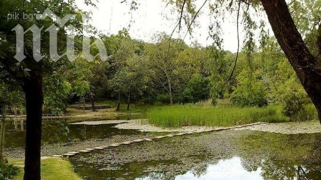 Резиденция на Тодор Живков отива на търг