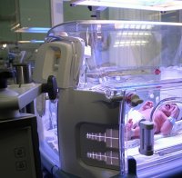 436 бебета ин витро през 2012 г.