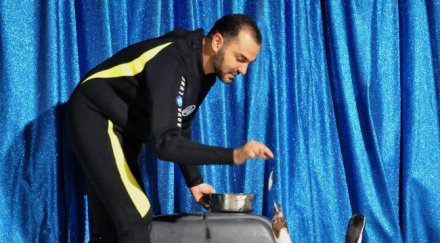 откриха големия пингвин живял млн години