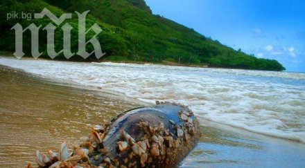 варненско писмо бутилка намерено плаж сащ