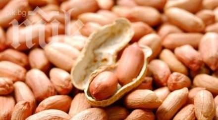 турция добиват електричество фъстъци