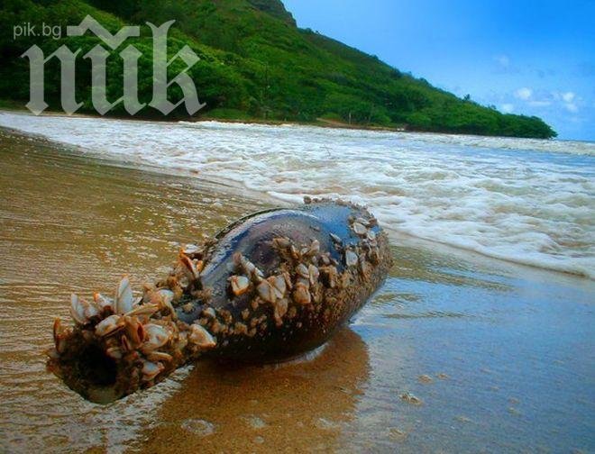 Варненско писмо в бутилка бе намерено на плаж в САЩ