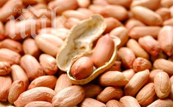 В Турция ще добиват електричество от фъстъци