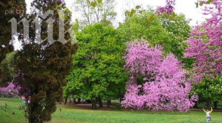 продължава бетонирането морската градина варна снимки