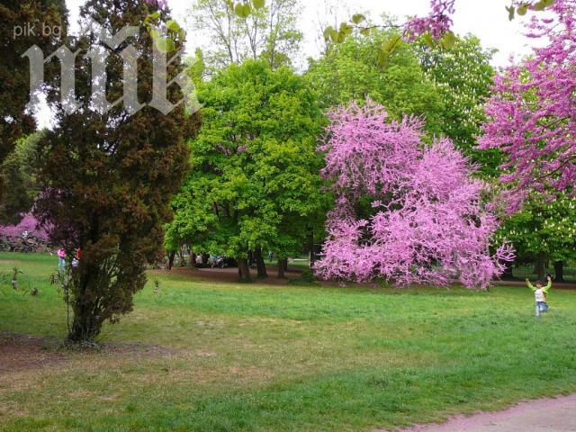 Продължава бетонирането на Морската градина във Варна (снимки)