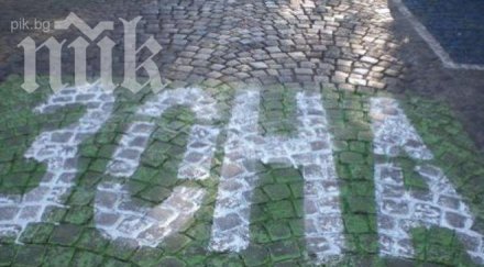 софиянци искат разширяване зелената зона