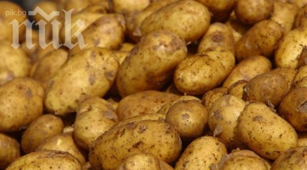 русия намери биологично оръжие украински картофи