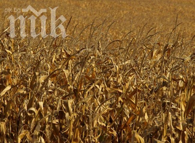 Румъния видя възможност да стане зърнен играч покрай кризата в Украйна 