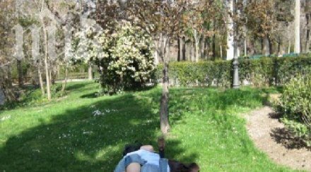 откриха секс сезона варна двама младежи заловени консумират любовта насред морската