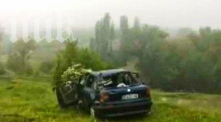 следово куче търси изчезналите винево