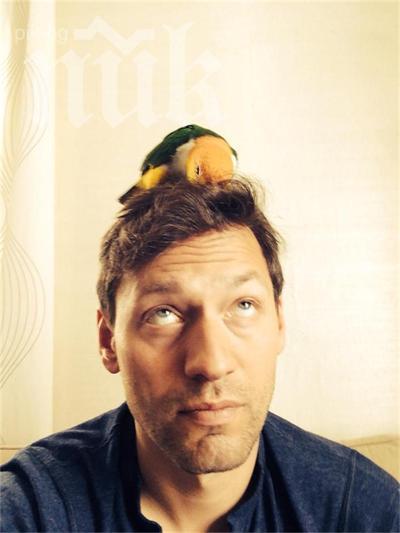 Орлин Павлов лудна в САЩ