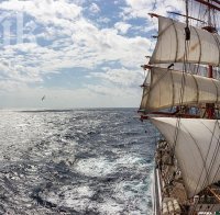Във Варна пристигна първият кораб от най-голямата регата в света - 