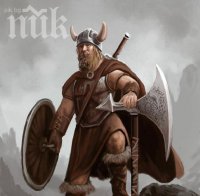 Разгадаха руническия шифър на викингите